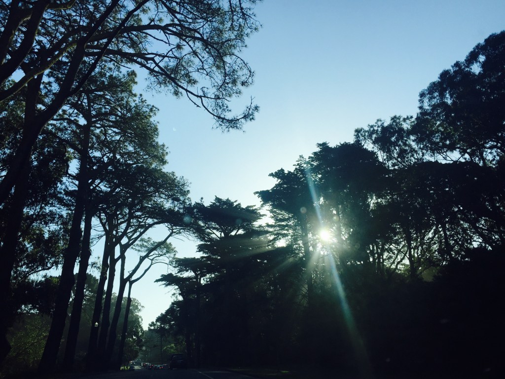 Coming Out on Faith with Anne&nbsp;Lamott