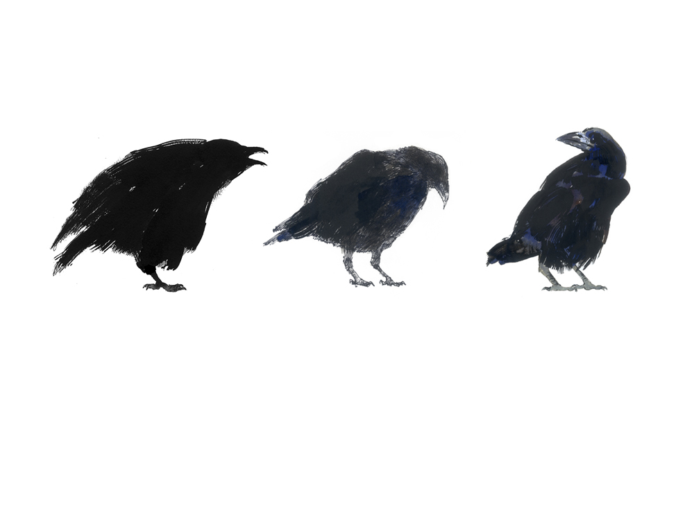 On Grief and the Permission to Leave, with Max&nbsp;Porter