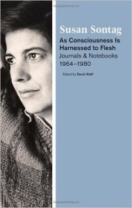 41t3ulpusml-_sx314_bo1204203200_