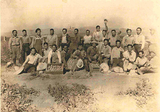 farmworkers-at-tomato-harvest-1930