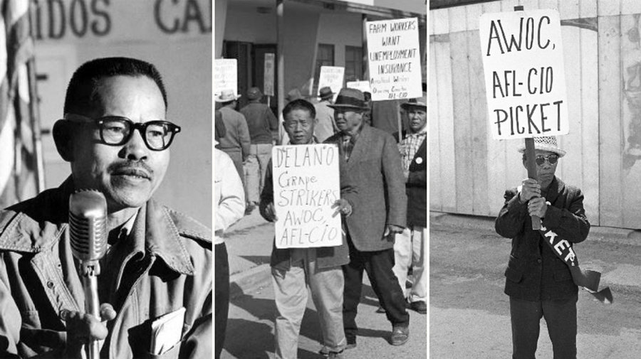 grapetrip2_wide-83a52ac1f6cc2128b3fda0515278de72041d2273-s900-c85