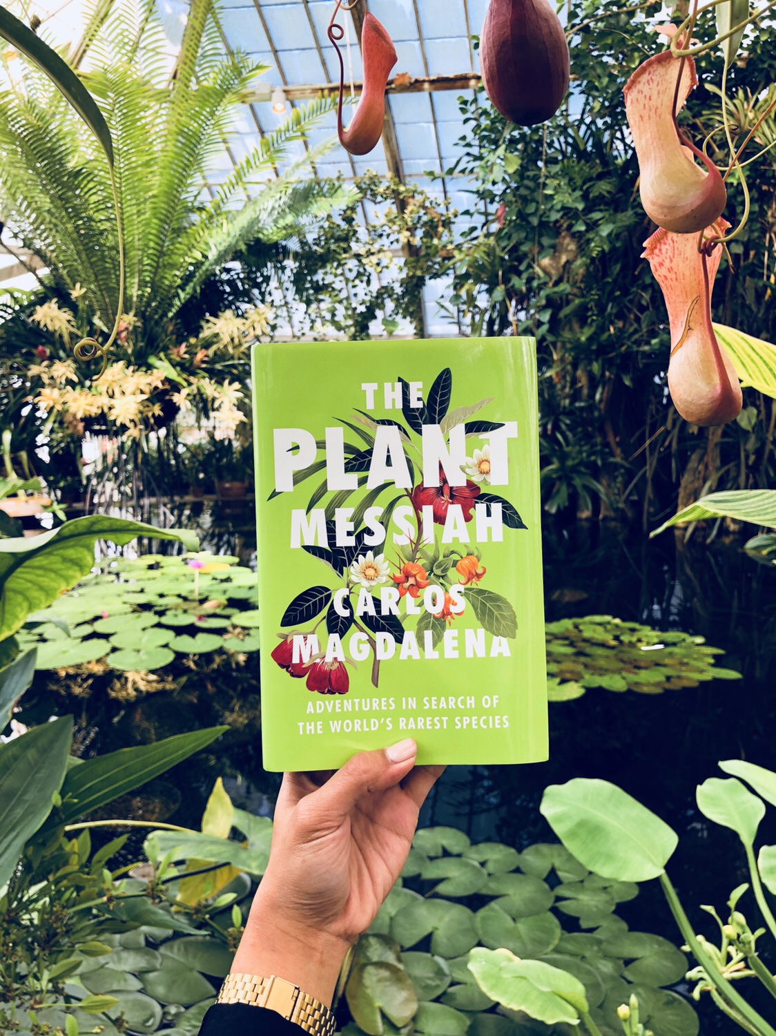 The Plant Messiah at the Conservatory of Flowers